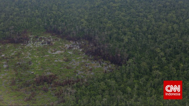 Menteri PPN/Bappenas Bambang Brodjonegoro memastikan pemindahan ibu kota ke Kalimantan tak akan mengurangi luas hutan lindung di kawasan tersebut.
