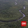 Besok, 4 Pintu Masuk Wisata TN Tanjung Puting Ditutup Imbas Karhutla