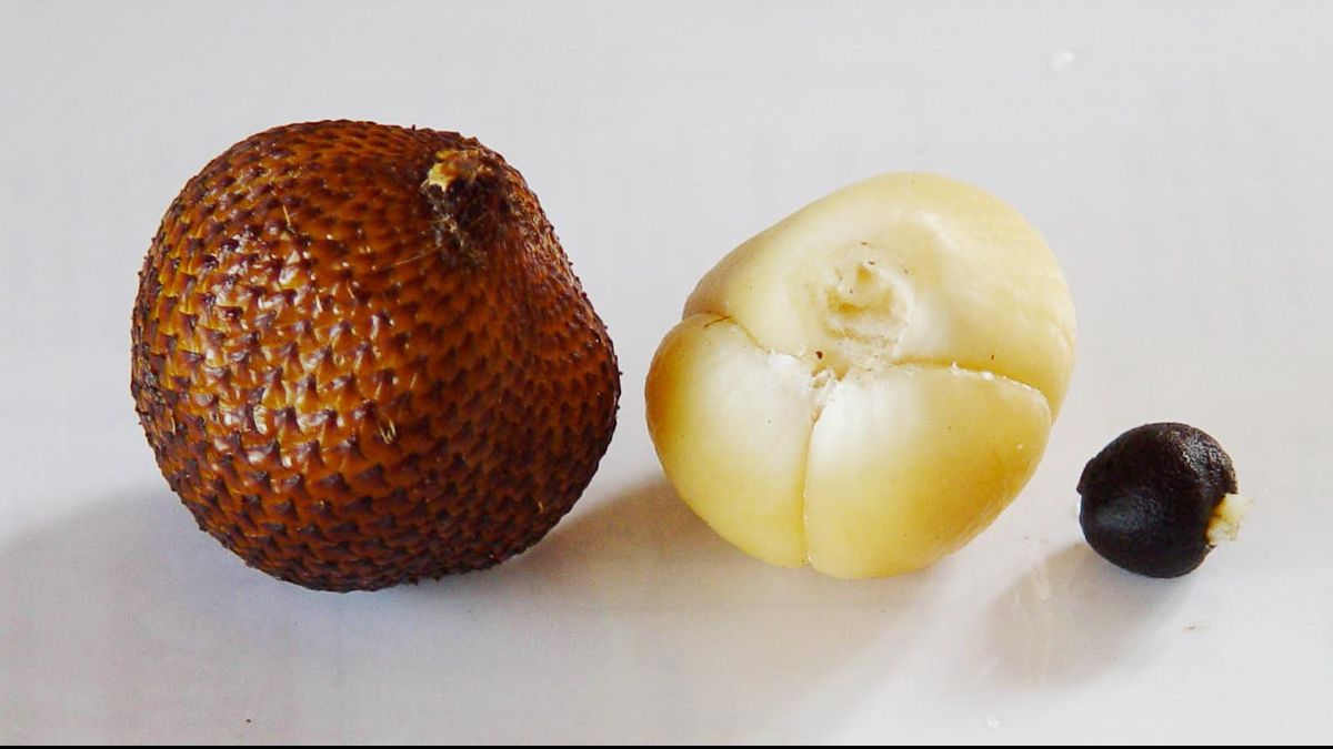 Lagi Musim, Salak Ternyata Punya 9 Manfaat Kesehatan Ini