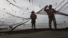 Susi Pudjiastuti Juga Larang Kapal Ikan Gunakan Pukat