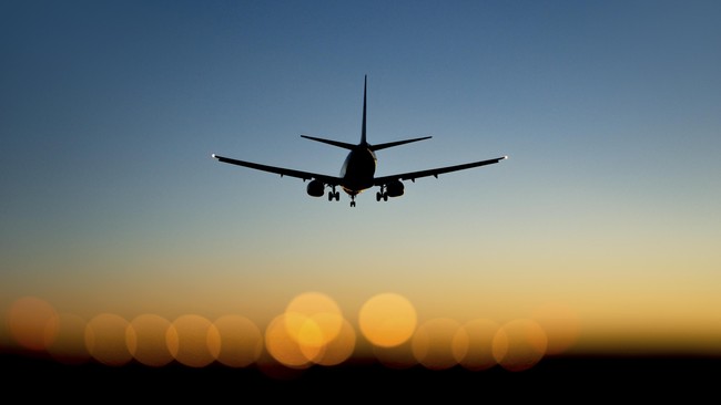 Tiga belas pramugari yang dipecat karena toolak terbang setelah ada tulisan dan gambar ancaman di mesin pesawat United Airlines ajukan tuntutan hukuman.