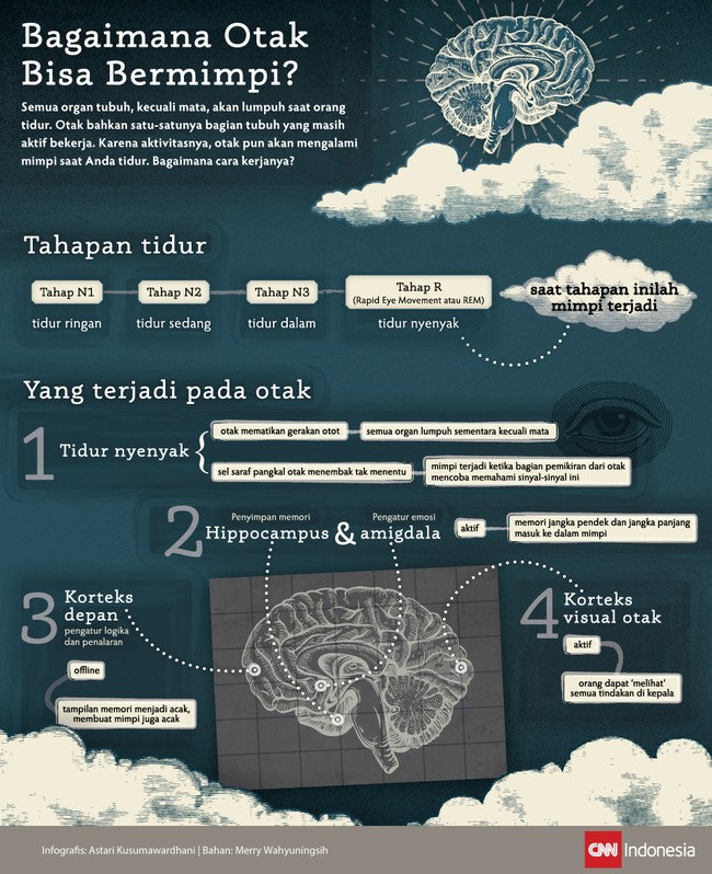 Otak satu-satunya bagian tubuh yang masih aktif saat tidur. Karena aktivitasnya, otak pun akan mengalami mimpi saat Anda tidur.