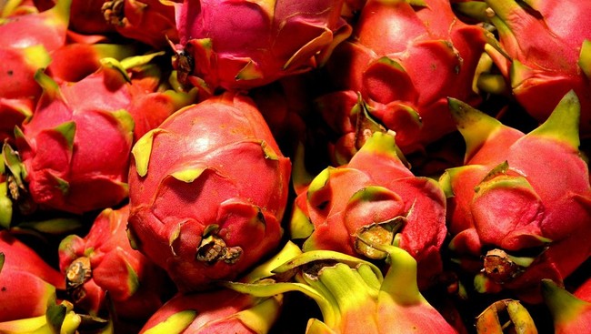 Di gelaran Full Day Sale September Ceria hari ini, buah naga merah murah banget mulai dari Rp1.400 per 100 gram. Cek diskonnya di sini.