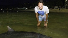 Roger Federer, 'Agen Pemasaran' Kota Brisbane