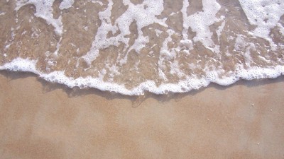 img-title Terekam sedang Bercinta di Pantai, Pasangan Ini Didenda Rp3,1 Juta