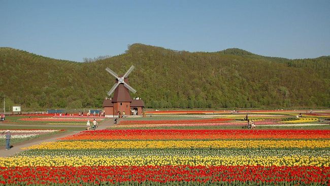 Belanda berada di peringkat teratas karena memiliki pemandangan yang memiliki lebih banyak semburat warna.