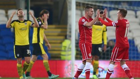 Cardiff City Mungkin Akan Kembali 'Biru'