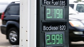 ESDM Catat 12 Perusahaan Mangkir dari Kewajiban B20