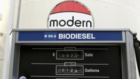 Ikuti CPO, Harga Indeks Pasar Biodiesel Naik Jadi Rp8.356