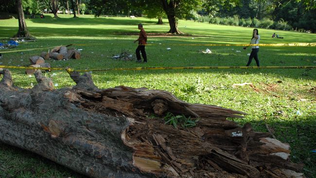 Kebun Raya Bogor ditutup sampai batas waktu yang tidak ditentukan, karena faktor angin kencang yang melanda Bogor beberapa hari belakangan.