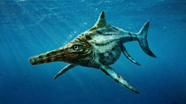 Fosil ikan berusia 200 juta tahun tak sengaja ditemukan di museum. Awalnya, peninggalan purbakala itu diduga makhluk yang menyerupai Loch Ness.