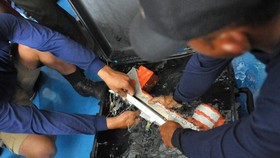 Investigator dari Tiga Negara Bantu KNKT Selidiki Kotak Hitam