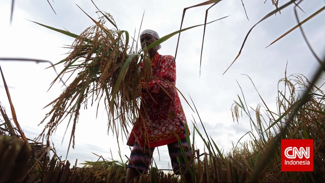 Peneliti Bappenas berharap pemerintah mau membuka akses lahan bagi para petani gurem terutama untuk mengolah lahan-lahan tidur milik negara.