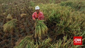 Bappenas: Waduk Saja Tak Cukup Kejar Swasembada Pangan