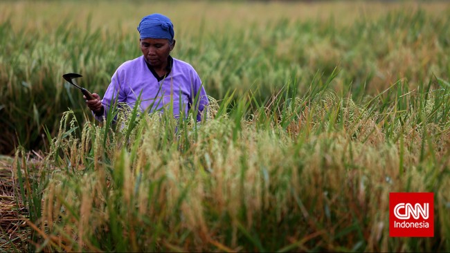 Sistem e-RDKK menjadi unggulan karena menghindari potensi pemalsuan data, dan menekan drastis pupuk subsidi yang jatuh ke tangan pihak yang tidak berhak.