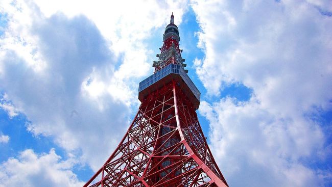 Ada dua jenis konsep pencahayaan yang coba ditampilkan Tokyo Tower setiap harinya. Ada Landmark Light dan Diamond Veil.