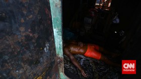 Kasus Perbudakan Bisa Buat Produk Ikan RI Diboikot Dunia