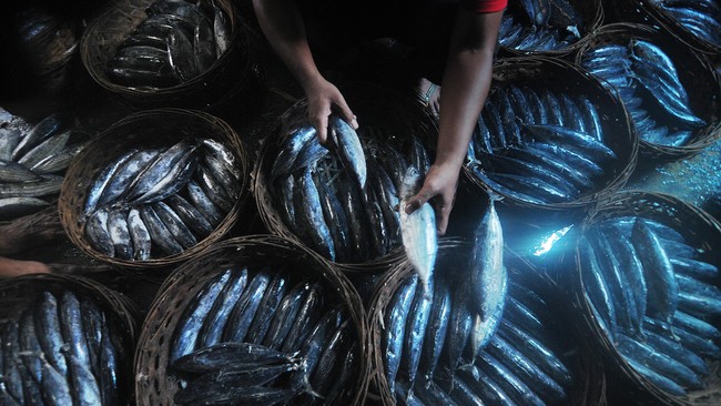 Pemerintah Thailand membatalkan rencana memperkerjakan narapidana di kapal ikan yang kekurangan tenaga setelah protes terkait pelanggaran hak-hak asasi napi.