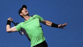 Murray Siap Buat Djokovic Telan Kekecewaan Besar