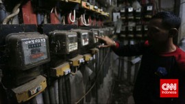 Ikan Koi Mati Saat Listrik Padam, Warga Gugat PLN Rp11 Juta