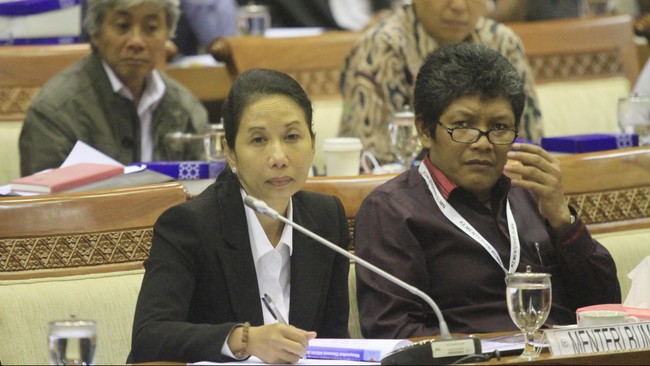 DPR dan Kementerian BUMN menyepakati Penyertaan Modal Negara dalam RAPBNP 2015 hanya Rp 37,27 triliun, atau lebih rendah dibandingkan usulan awal Rp 48 triliun.