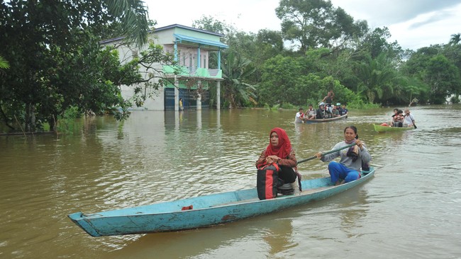 Banjir besar menerjang lima desa di Kecamatan Satui, Kalsel. Belasan ribu warga terdampak dan ketinggian air bervariasi hingga mencapai 3 meter.