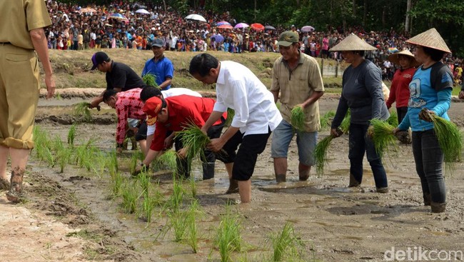 Kementerian Keuangan menyalurkan dana desa Rp750 juta per desa untuk tahun ini. Jumlah ini berkurang dari jatah awal Rp1 miliar.