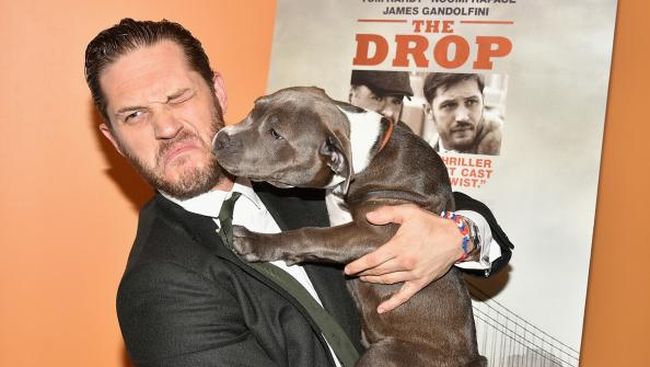 Tom Hardy mengaku sangat mencintai anjing. Mereka mengajarkannya banyak hal. Bahkan, untuk peran berikutnya Hardy ingin menjadi anjing sungguhan.