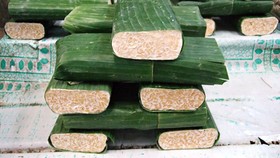 Pembuatan Tempe yang Jorok Justru Berkhasiat