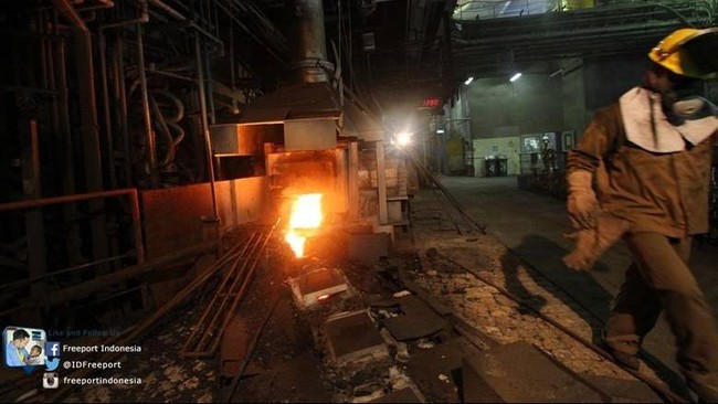 Freeport akan menyewa lahan milik PT Petrokimia Gresik seluas 60 hektare selama 20 tahun untuk dijadikan smelter.