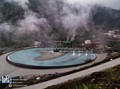 IPO Freeport Dinilai Hanya Untungkan Orang Kaya
