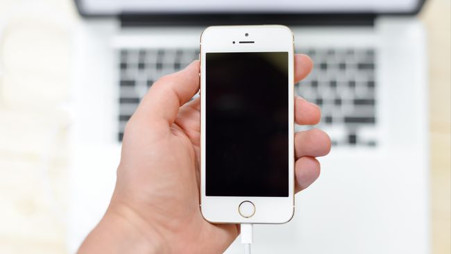 Turis Indonesia Tak Bisa Lepas dari Perangkat Digital Survei dari Travelport mengungkapkan bahwa sebanyak 93 persen turis asal Indonesia mencari informasi wisata melalui perangkat digital.