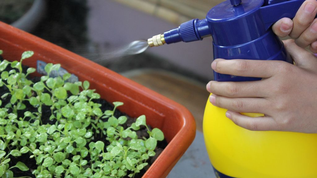 Bahan Baku Langka, Produsen Pestisida Ancam Kerek Harga 30 Persen