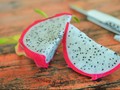Berseteru dengan China, India Ubah Nama Buah Naga