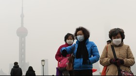 Atasi Polusi China Bangun Hutan Vertikal
