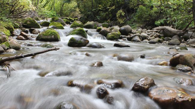 Studi teranyar menemukan, sungai di seluruh dunia terkontaminasi antibiotik dengan kadar melebihi ambang batas.