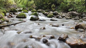 Kenapa Air Sungai Tidak Asin seperti Air Laut?