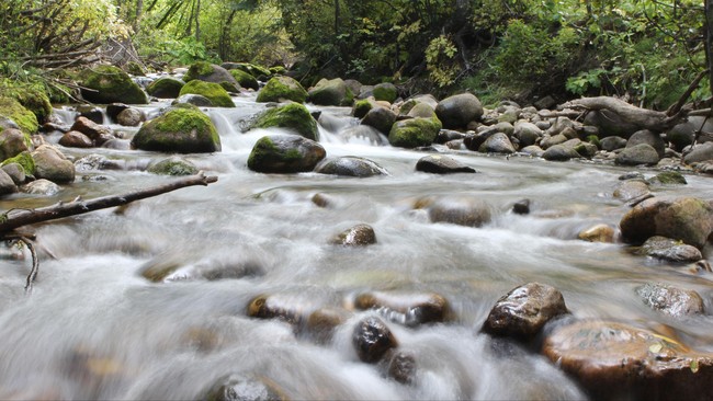 Menteri PUPR menyebut, Basin Segment Day jadi kesempatan untuk membahas beragam langkah meningkatkan kerja sama dan tukar pengalaman tentang pengelolaan basin.