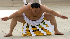 Mongolia Dominasi Dunia Sumo Tingkat Atas