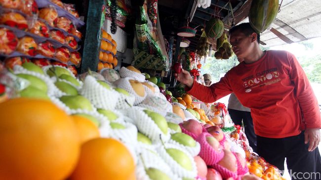 Mau Otak Tetap Tajam? Ini 5 Buah yang Bantu Cegah Pikun Sejak Dini