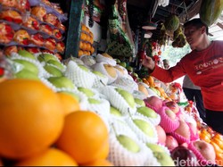 Mau Otak Tetap Tajam? Ini 5 Buah yang Bantu Cegah Pikun Sejak Dini