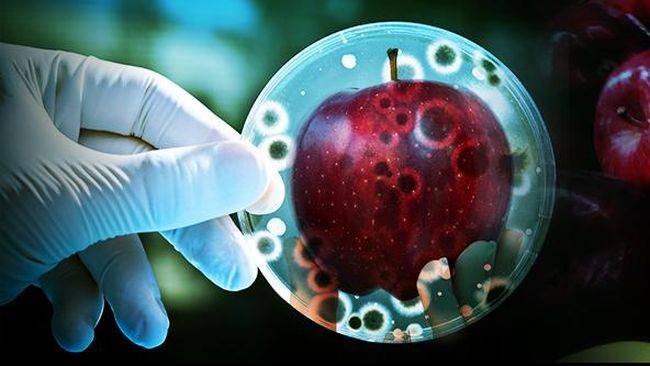 WHO umumkan dua belas jenis bakteri yang harus segera dicarikan obat antibiotik baru guna meredam perkembangannya.