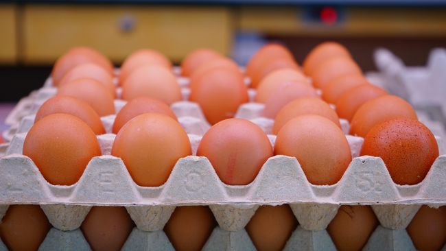 Seiring pertambahan usia, metabolisme tubuh akan mengalami perubahan. Hal itu membuat asupan makanan menjadi penting untuk diatur.