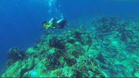 Proses Terbentuknya Gunung Berapi Bawah Laut Tonga