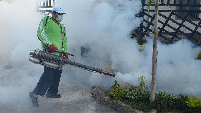 Kasus meninggal karena demam berdarah dengue (DBD) terbanyak terjadi di Nusa Tenggara Timur, Jawa Barat dan Jawa Tengah. Tiga wilayah ini jadi zona merah DBD.