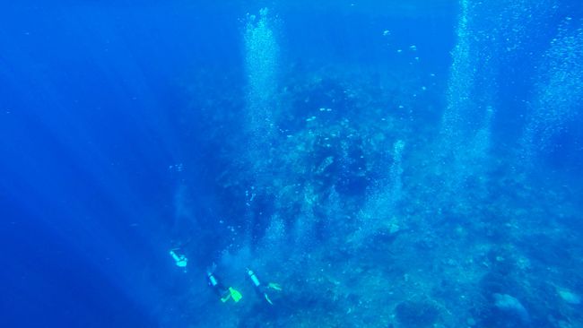 Badan Informasi Geospasial menemukan gunung bawah laut di perairan Pacitan, Jawa Timur, yang diprediksi terbentuk karena tumbukan lempeng di Samudra Hindia. 