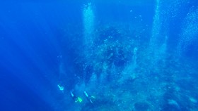 img-title Gunung Bawah Laut Diklaim Muncul di Pacitan, Cek Fakta-faktanya