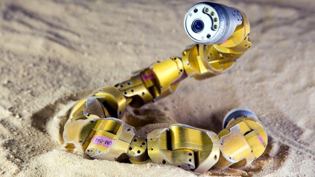 Kemampuan ular melata di permukaan yang licin menginspirasi ilmuwan robotika mendesain robot ular. Bisa untuk membantu manusia dalam misi SAR.