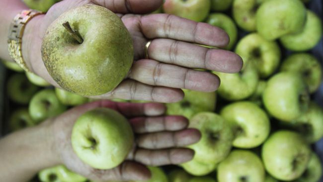 Buah Apel Yang Membusuk Termasuk Perubahan Gambaran 7821