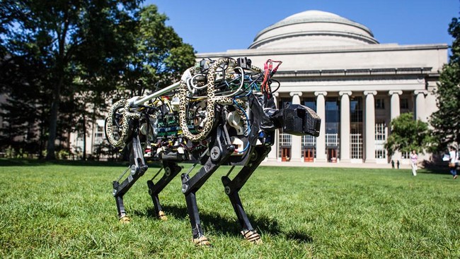 Mahasiswa di Massachusetts Institute of Technology (MIT) berhasil menciptakan algoritma yang memungkinkan robot cheetah lari dan melompat.
